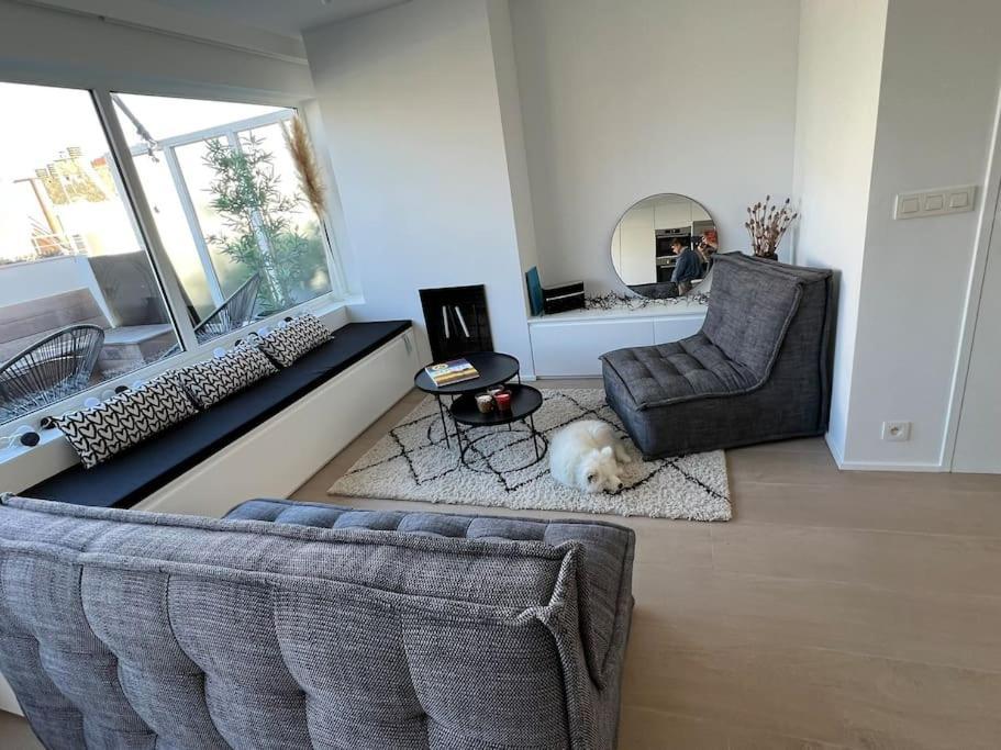 Beautiful Penthouse At 5Min Of Albert Place Knokke-Heist Dış mekan fotoğraf